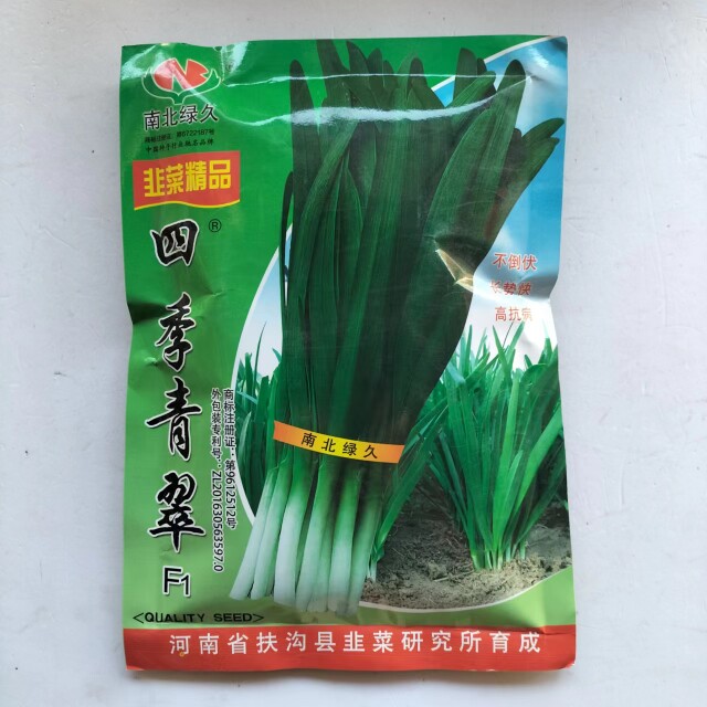 四季青翠韭菜种子清香辣味浓长势快植株高不倒伏四季常青韭菜种子
