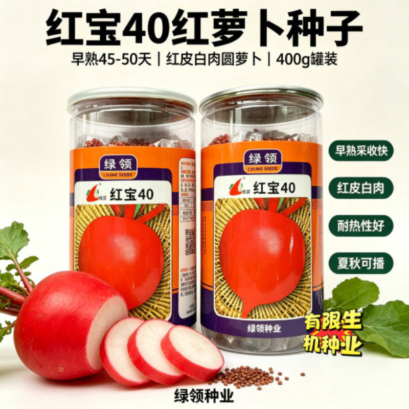 绿领红宝40红萝卜种子早