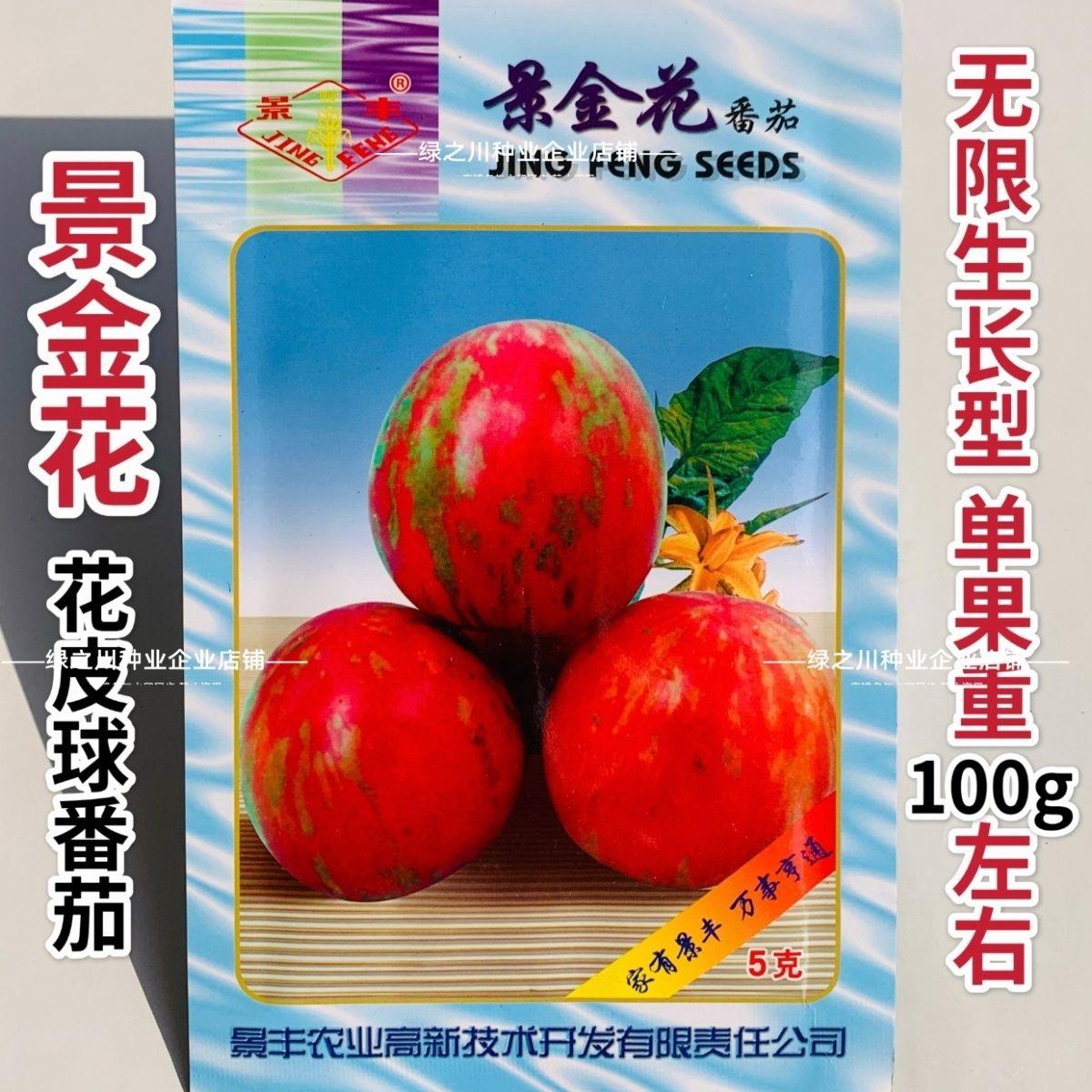 景金花番茄种子绣球花皮球番茄种子水果柿子黄绿红多彩西红柿种籽