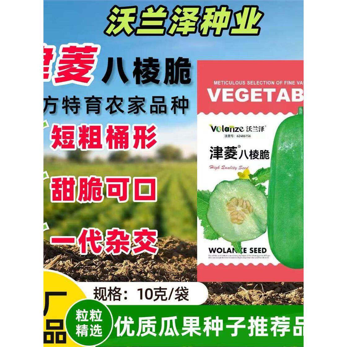 津菱八棱脆菜瓜水果甜瓜