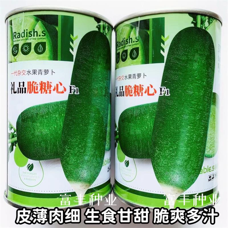礼品脆糖心水果萝卜种子脆甜水果型萝卜种籽秋播翠绿皮青萝卜种子