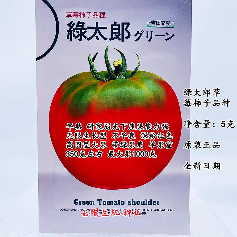 绿福番茄种籽水果铁皮柿子种子草莓西红柿籽绿太郎草莓番茄种孑