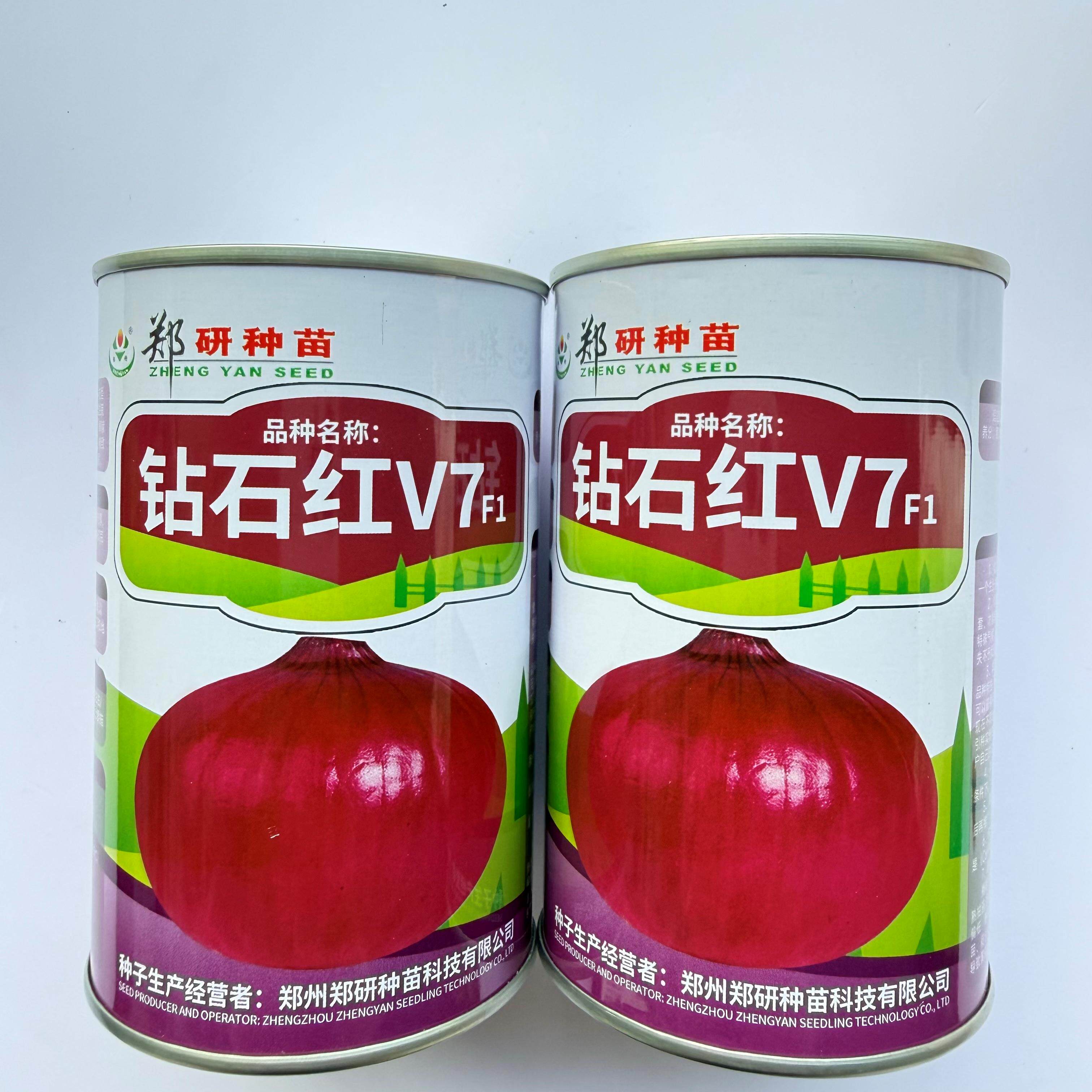 郑研钻石红V7F1洋葱种子