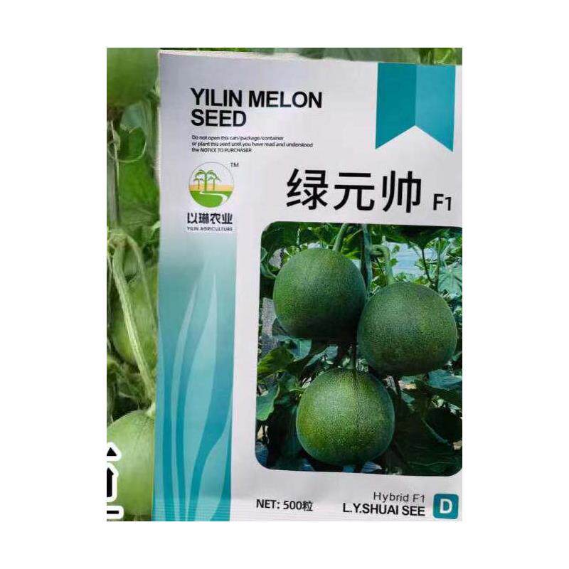 绿元帅绿宝甜瓜种子中早