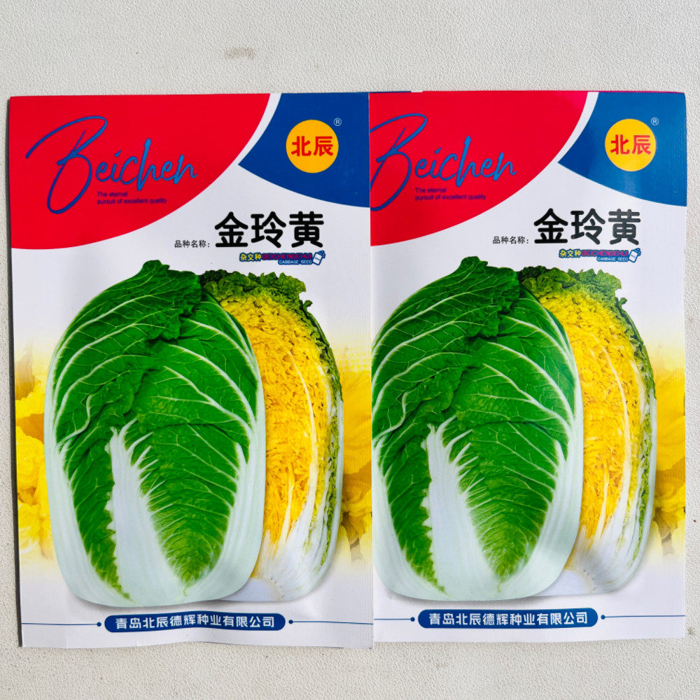 金玲黄大白菜种子黄心籽