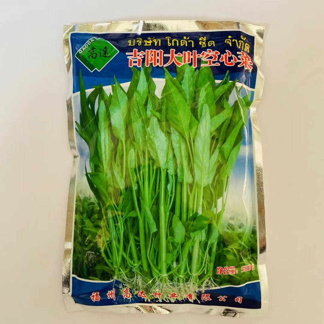 泰国竹叶空心菜种子吉阳三叉空心菜种籽南四季菜园大棚春夏秋播
