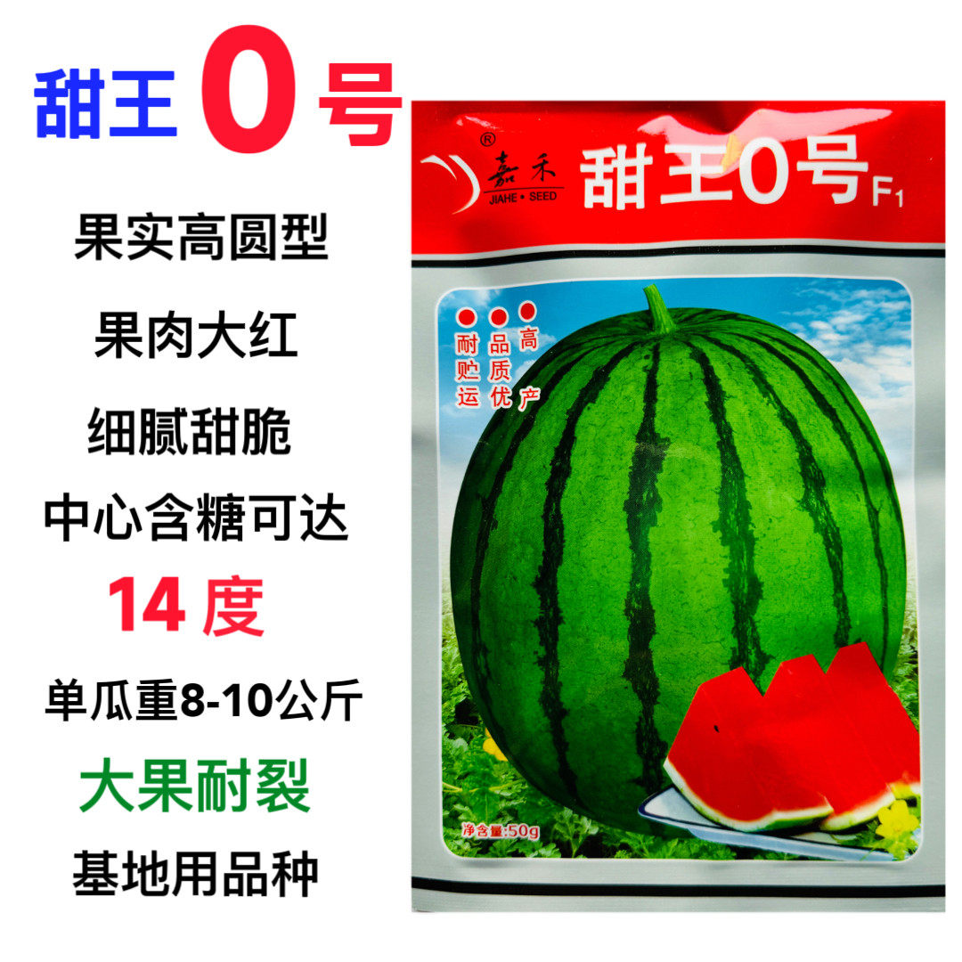 甜王0号西瓜种子早熟高产
