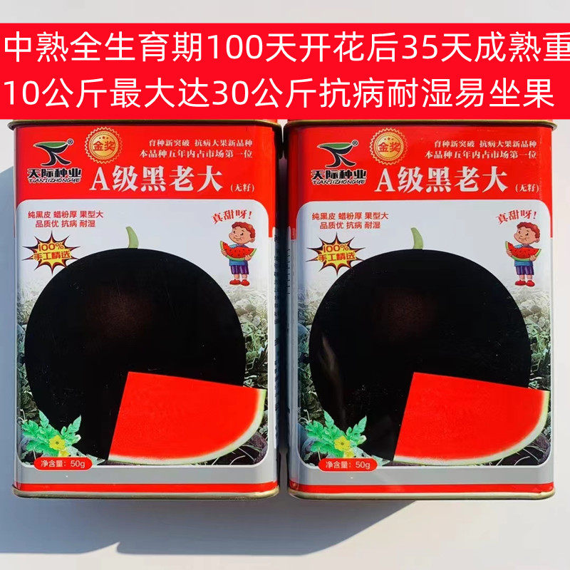 黑皮无籽西瓜种子A级黑老