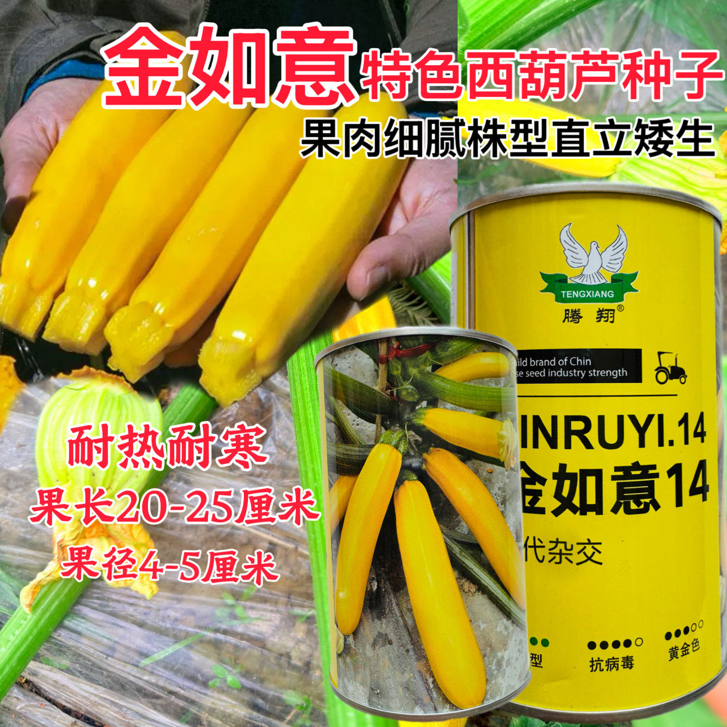 金如意葫芦种子黄金瓜香