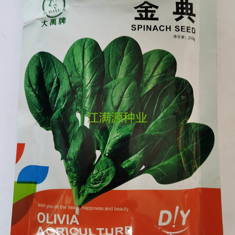 金典菠菜种子圆叶四季蔬菜春秋冬籽种耐热阳台菜种籽盆栽波菜孑