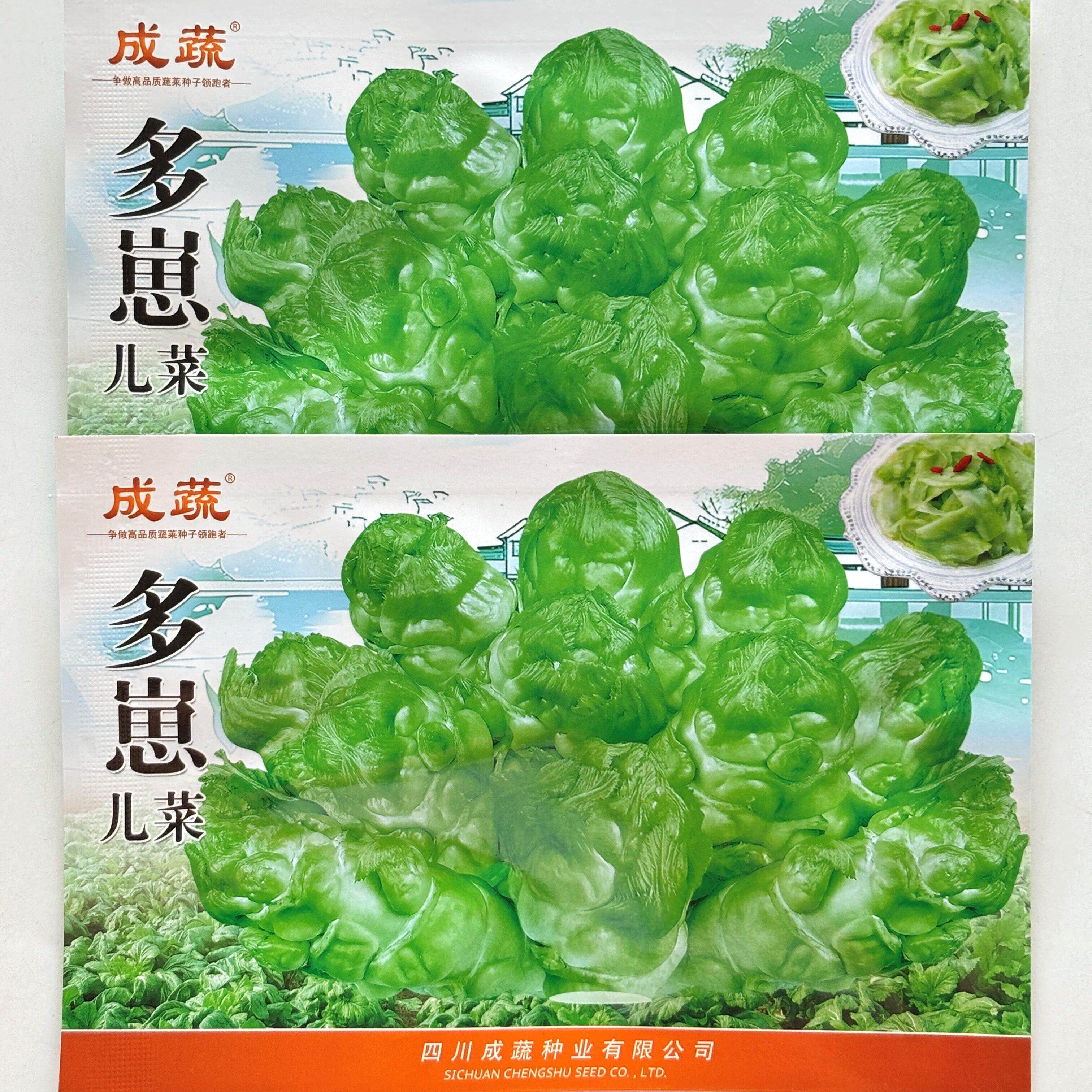 多崽儿菜种子四川脆嫩肉