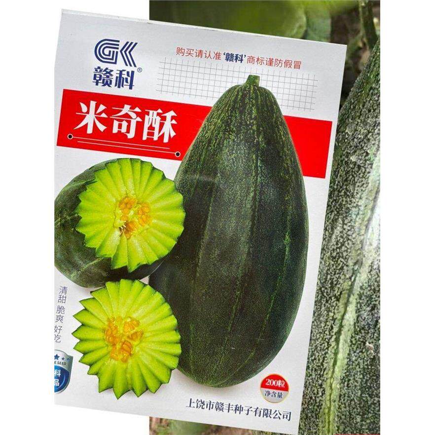 米奇酥甜瓜种子中熟果皮