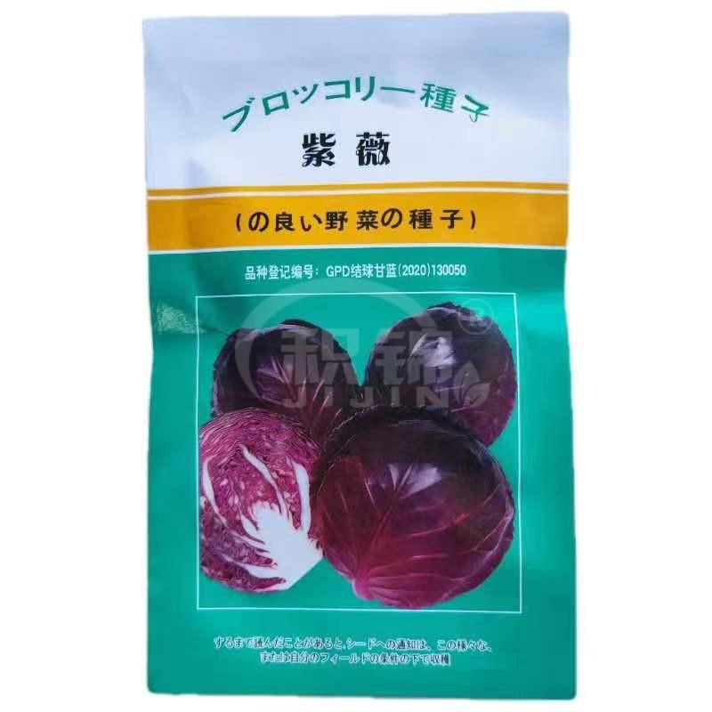 紫薇紫甘蓝种子优质大球蔬菜籽高产耐裂抗病抗逆农家春秋播种精选