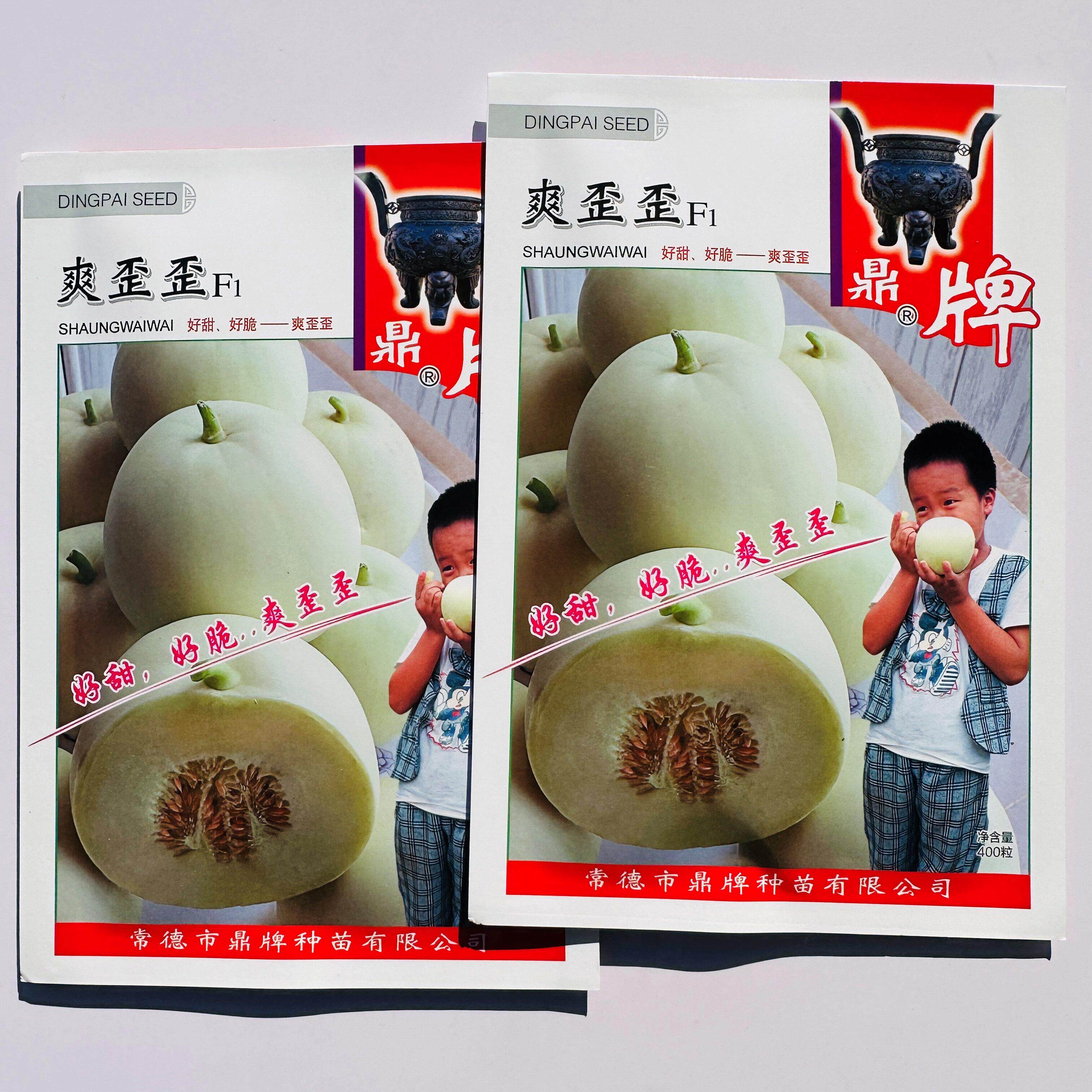 爽歪歪甜瓜种子香果实高