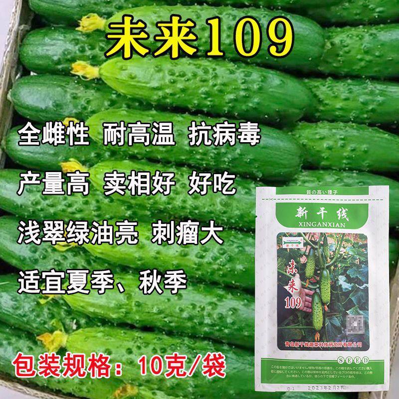 未来109夏季耐高温抗病强