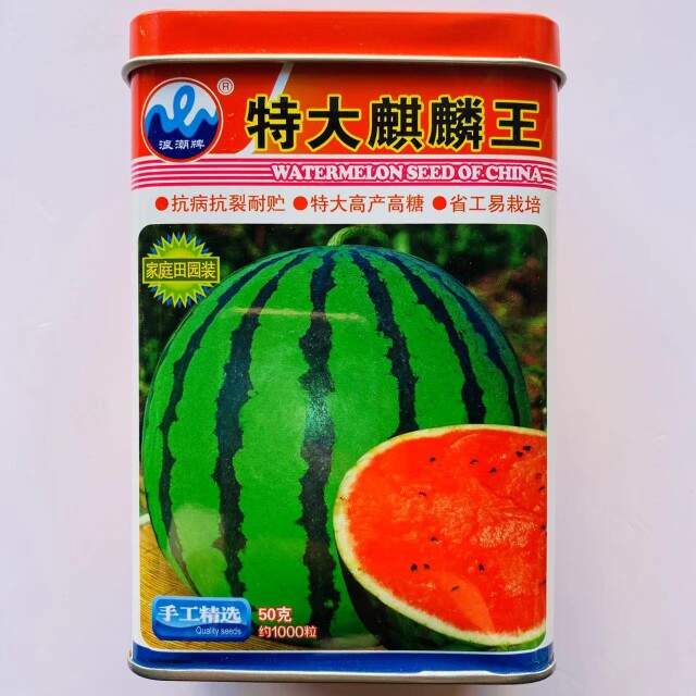 浪潮特大麒麟王西瓜种子早熟高产抗病甜粉红瓤西瓜种籽孑