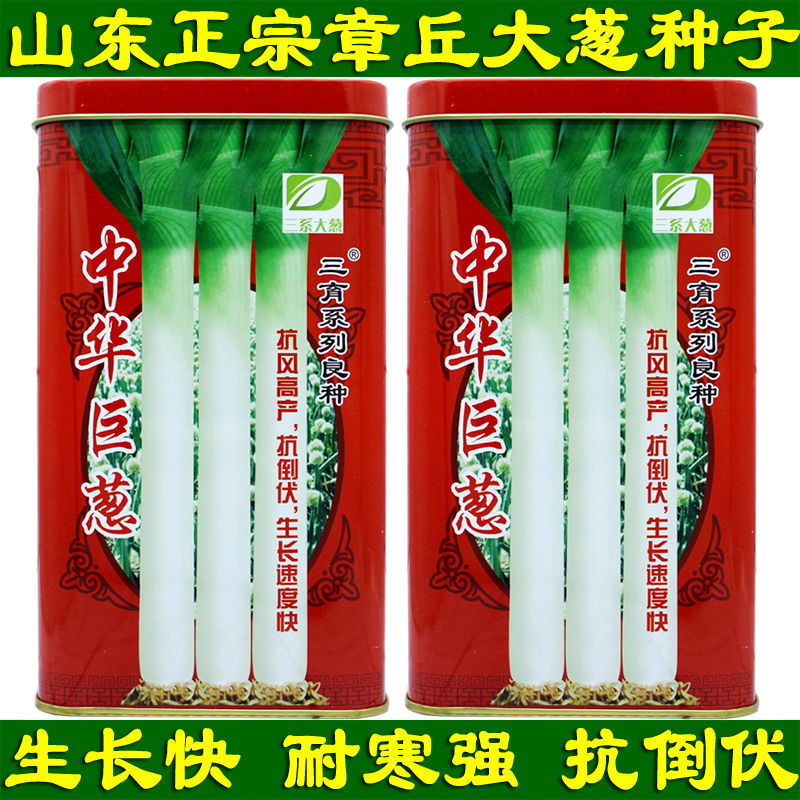正宗山东章丘大葱种子中华巨葱五叶齐蔬菜种子四季葱子种籽包邮