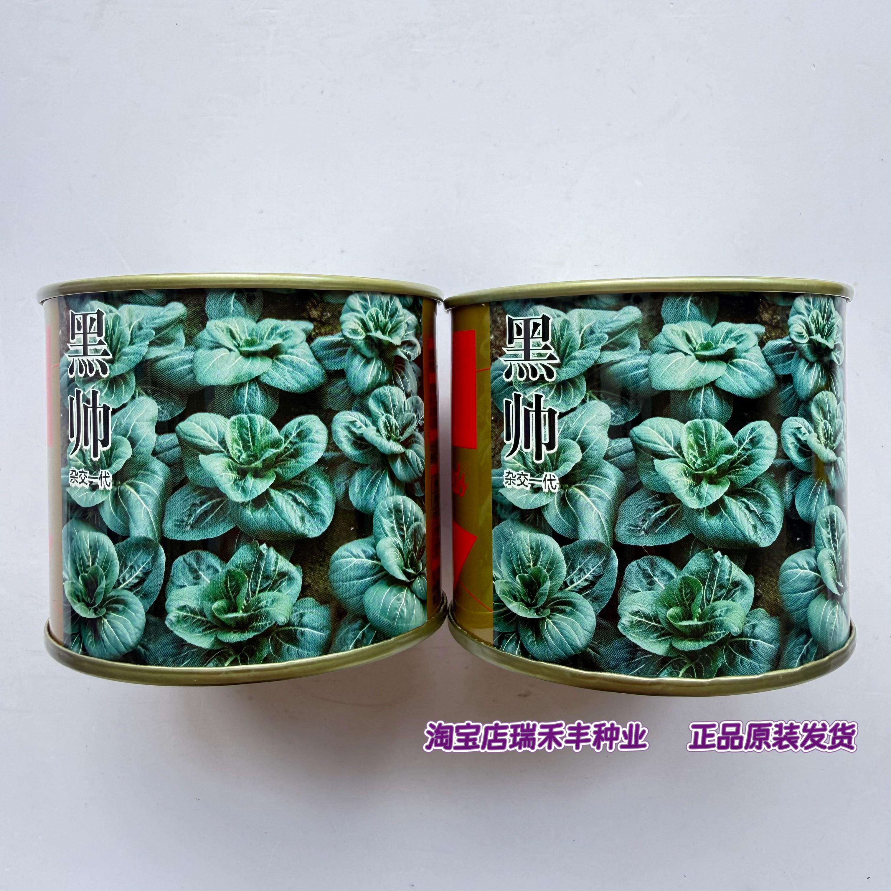 黑帅青梗菜种子矮箕苏州