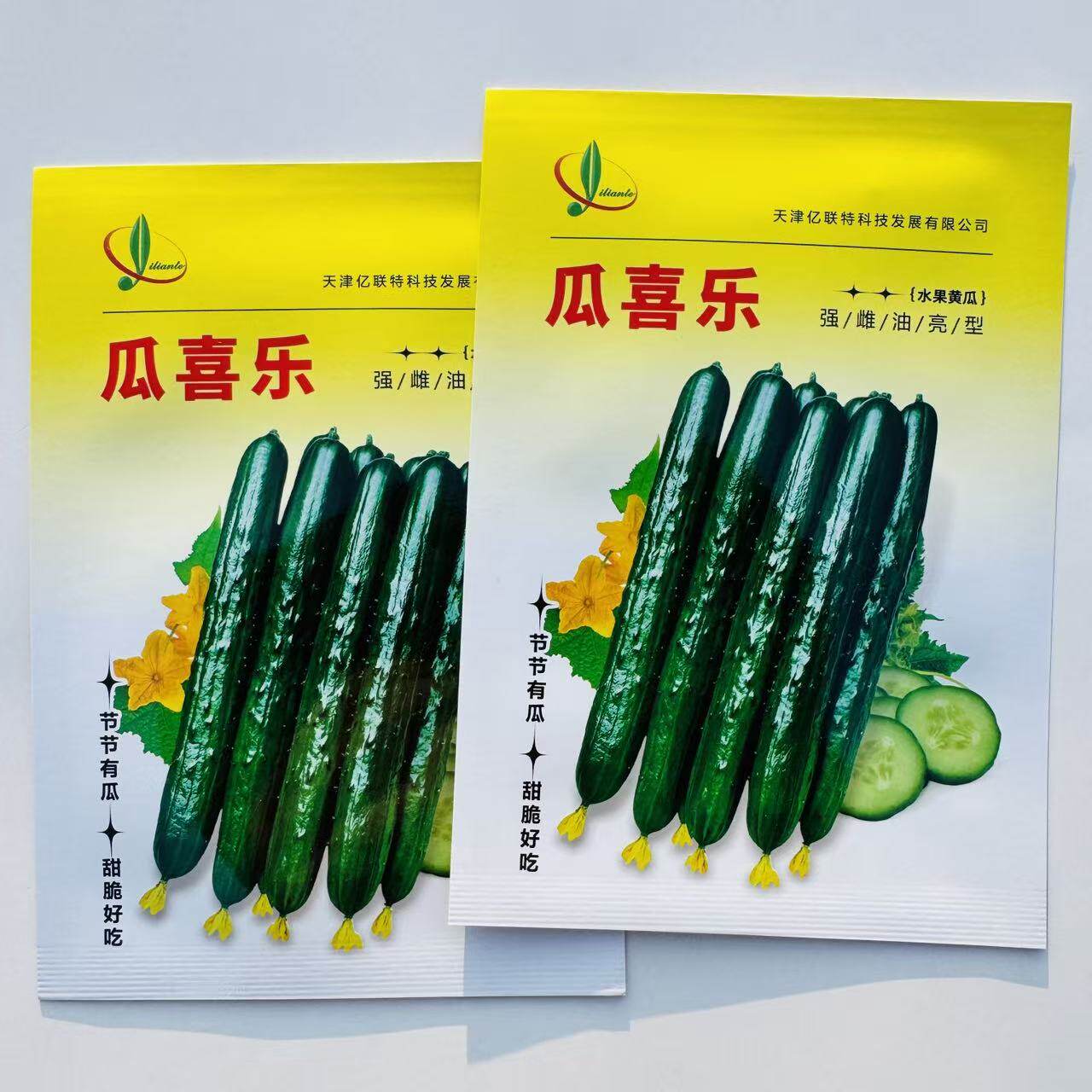 瓜喜乐强雌水果型黄瓜种