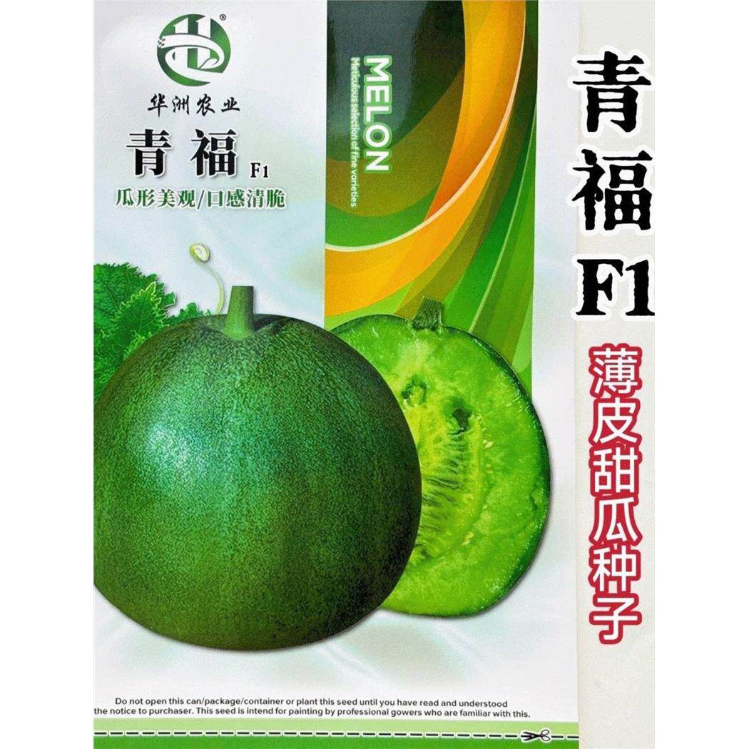 青福甜瓜果蔬菜种子绿宝