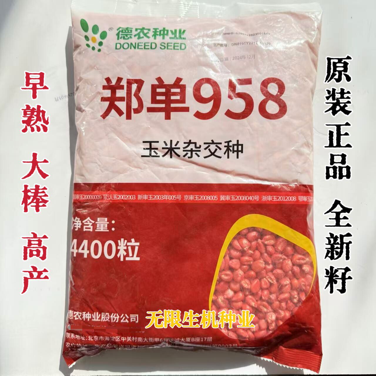 德农郑单958玉米种籽高产