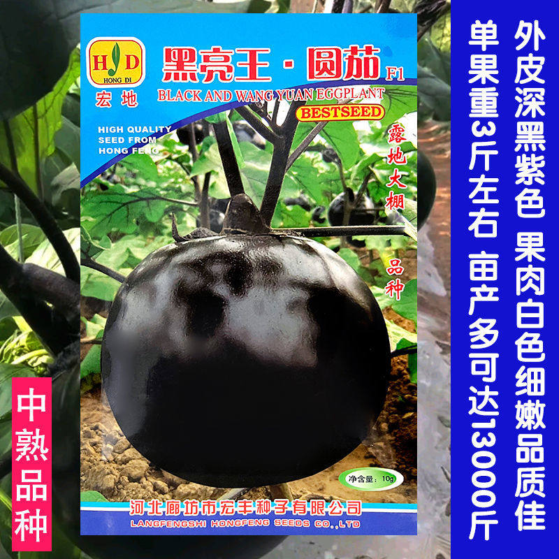 黑亮王圆茄种子春季茄子种子日本圆龙茄种籽黑紫快圆茄种蔬菜种孑