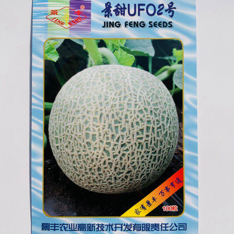景甜UFO2号网纹甜瓜种子