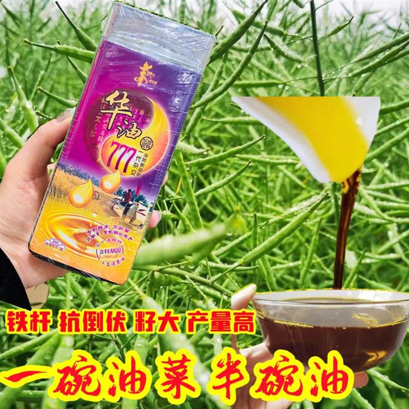 华油777 油菜种子 高产高油矮杆抗病抗倒伏 农家秋季播种精选油菜
