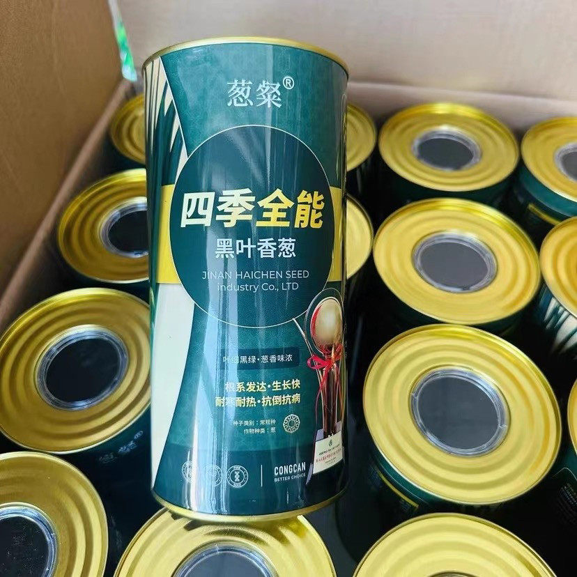 四季全能黑叶香葱种籽小