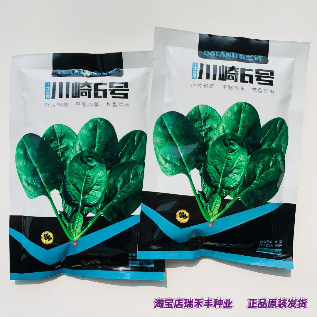 欧兰德川崎6号菠菜种子杂
