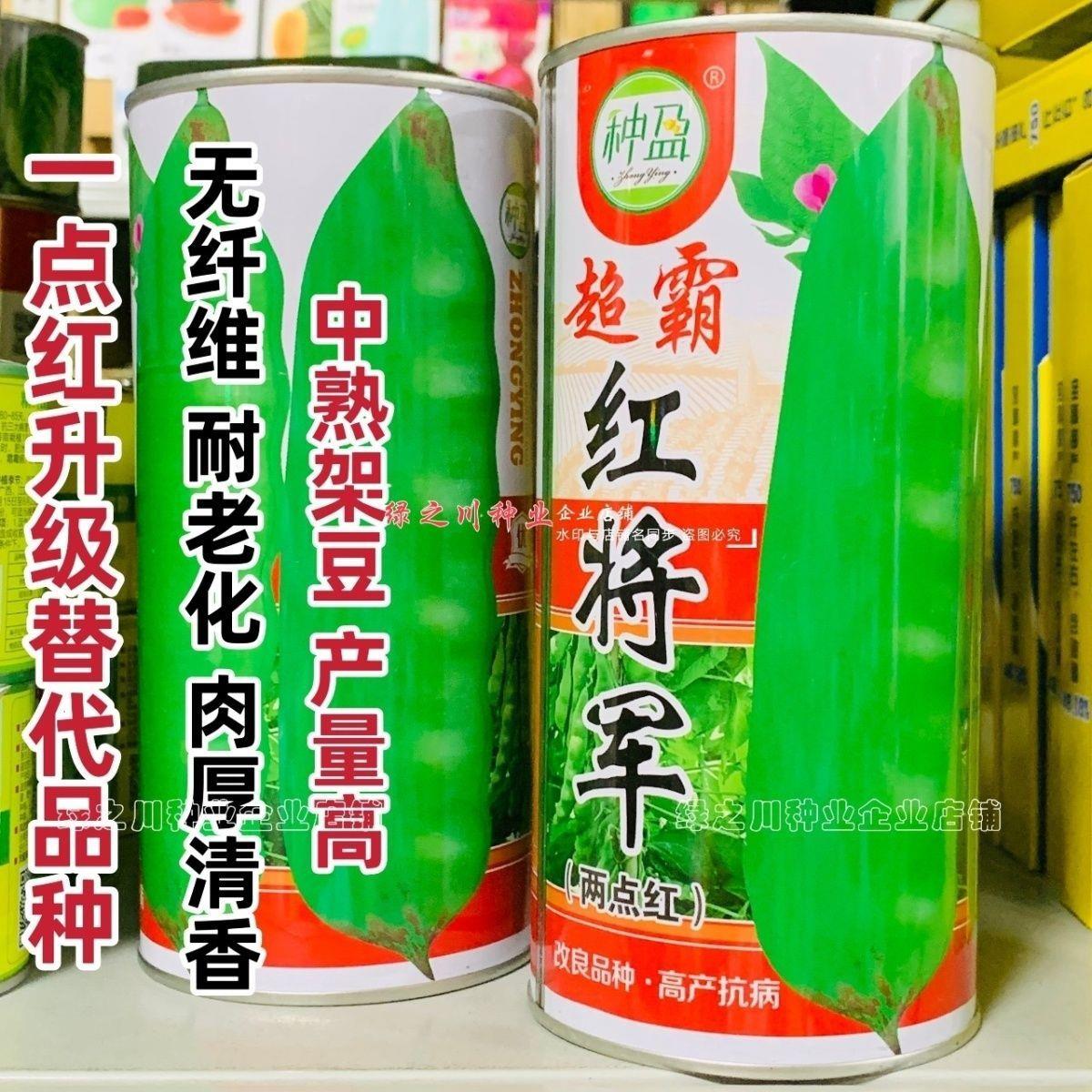 东北超霸红将军油豆种子四季豆角种籽大号高产北方两点红架豆种子