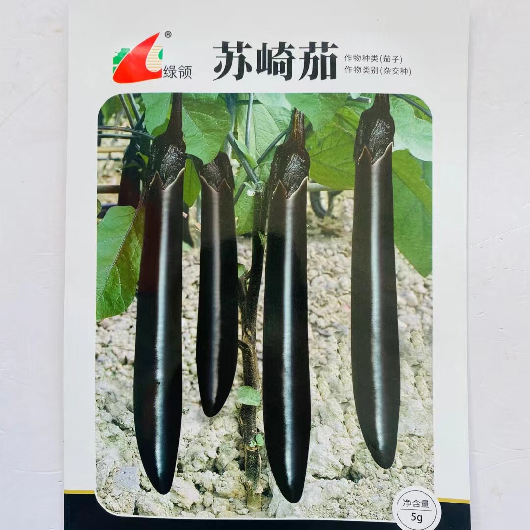 绿领苏崎茄种子黑长茄子种子油亮皮 直长茄子籽 蔬菜种子