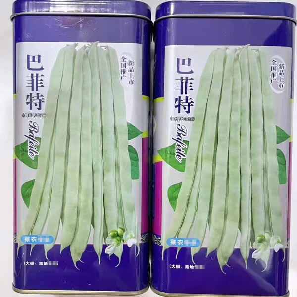 宏雨白架豆种子巴菲特高产豆角种籽白荚肉厚长芸豆四季豆蔬菜种孑