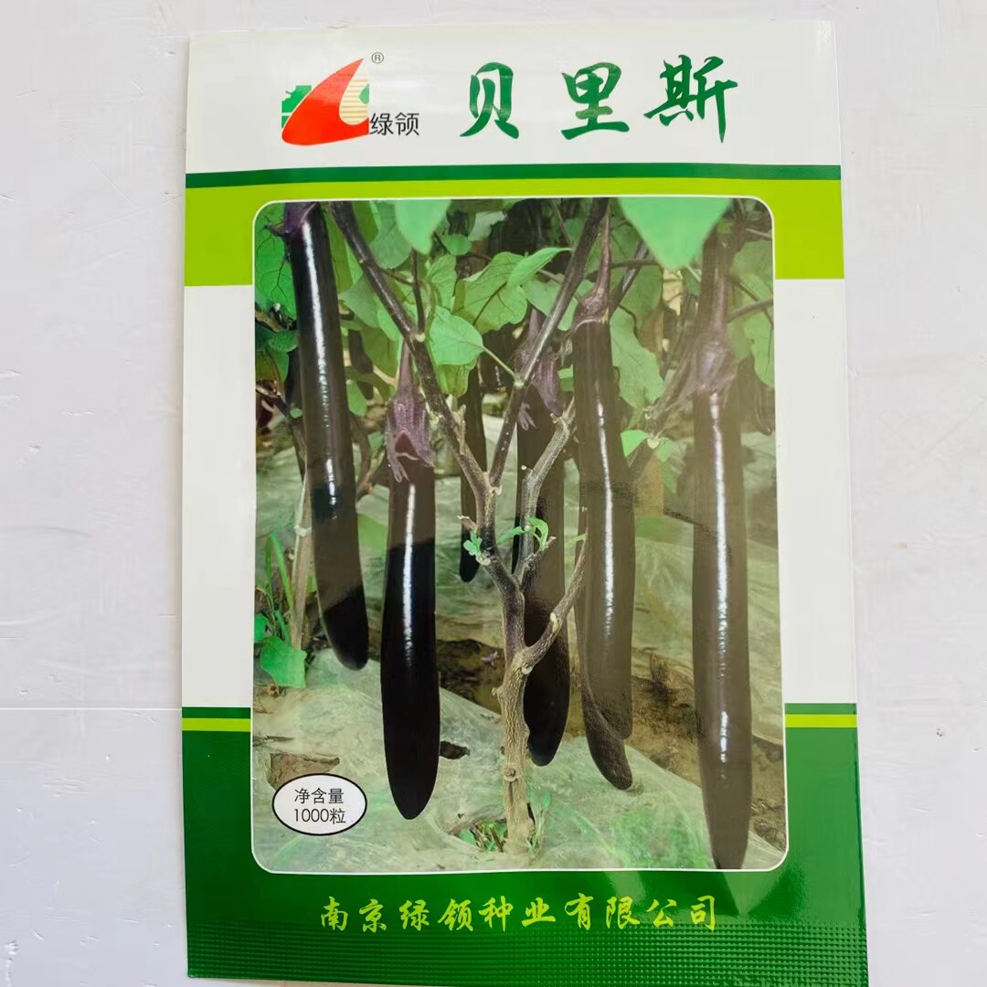 绿领贝里斯茄子种子白绿肉黑紫长茄种子早熟耐低温春秋播种蔬菜籽