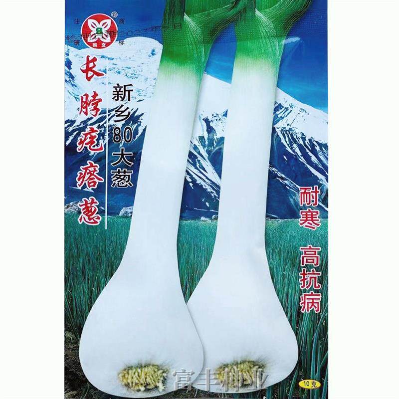 鸡腿葱种子韭葱种子长脖疙瘩大葱大头葱春季秋季阳台盆栽蔬菜种子