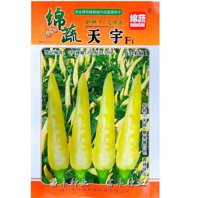 天宇小米椒种子早熟香辣朝天椒特辣泡椒野山椒种籽春秋季辣椒种籽