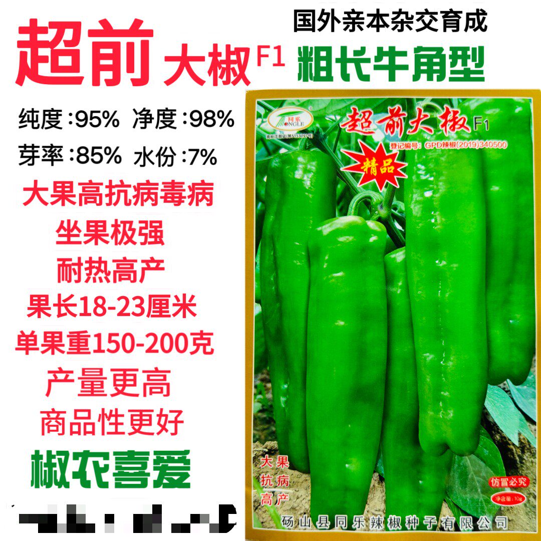 同乐超前大椒种子中早熟