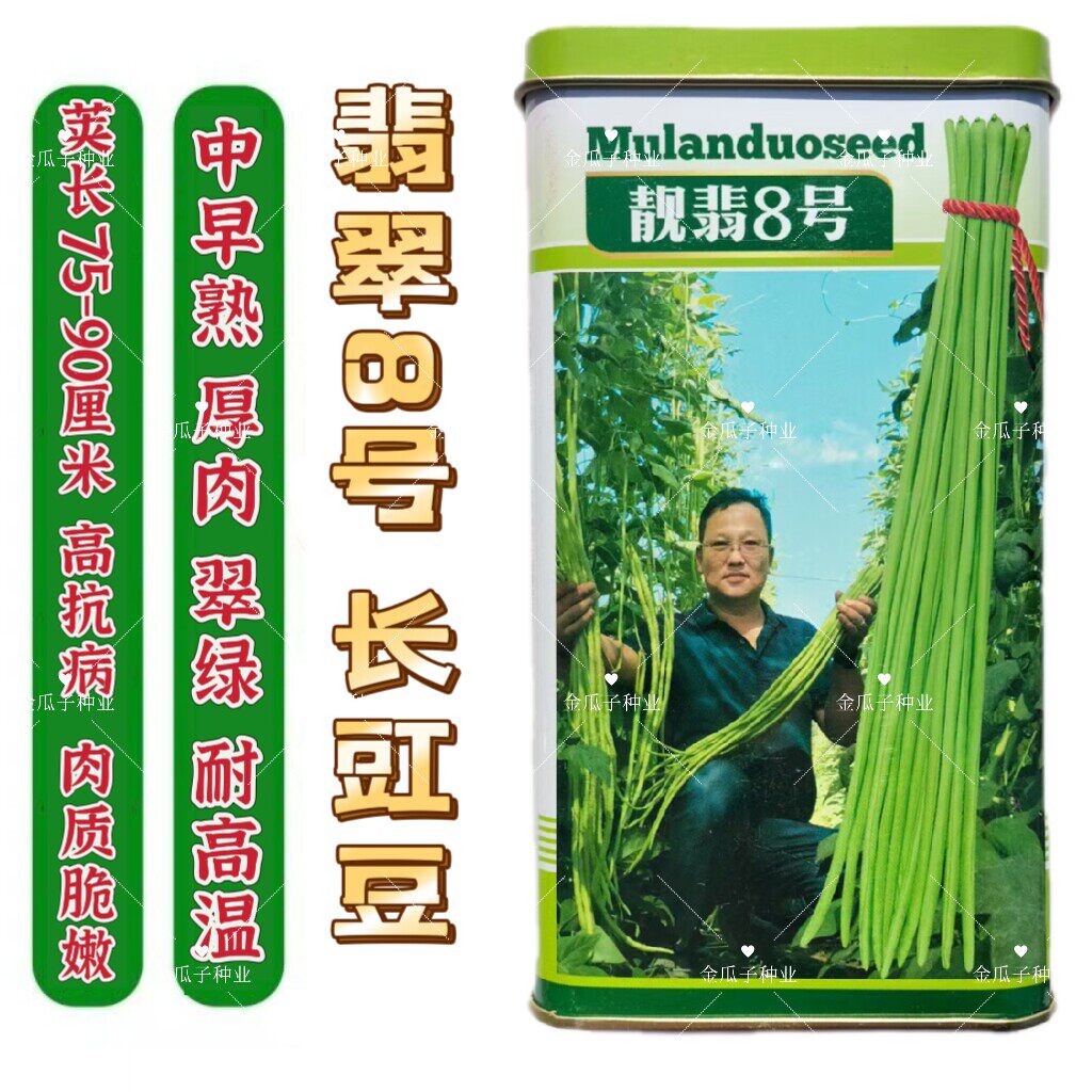 翡翠8号长豆角种籽高产抗