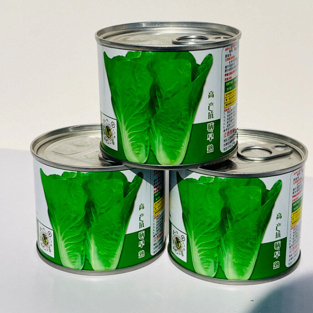 绿翠5号快菜种籽无毛白子