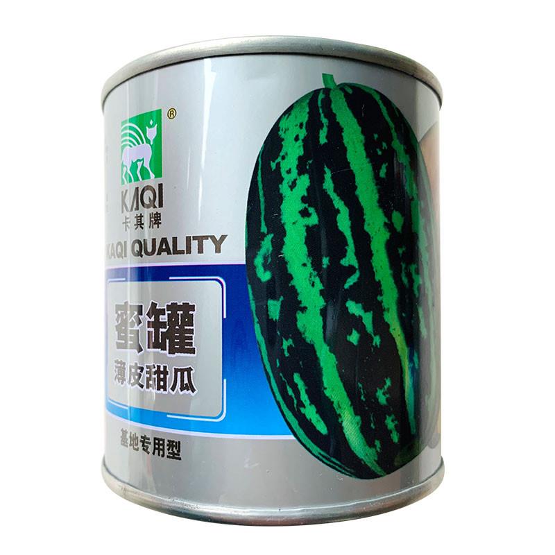 蜜罐薄皮甜瓜种子酥蜜龙香瓜种籽孑花皮罐装高产高糖农家大田种植