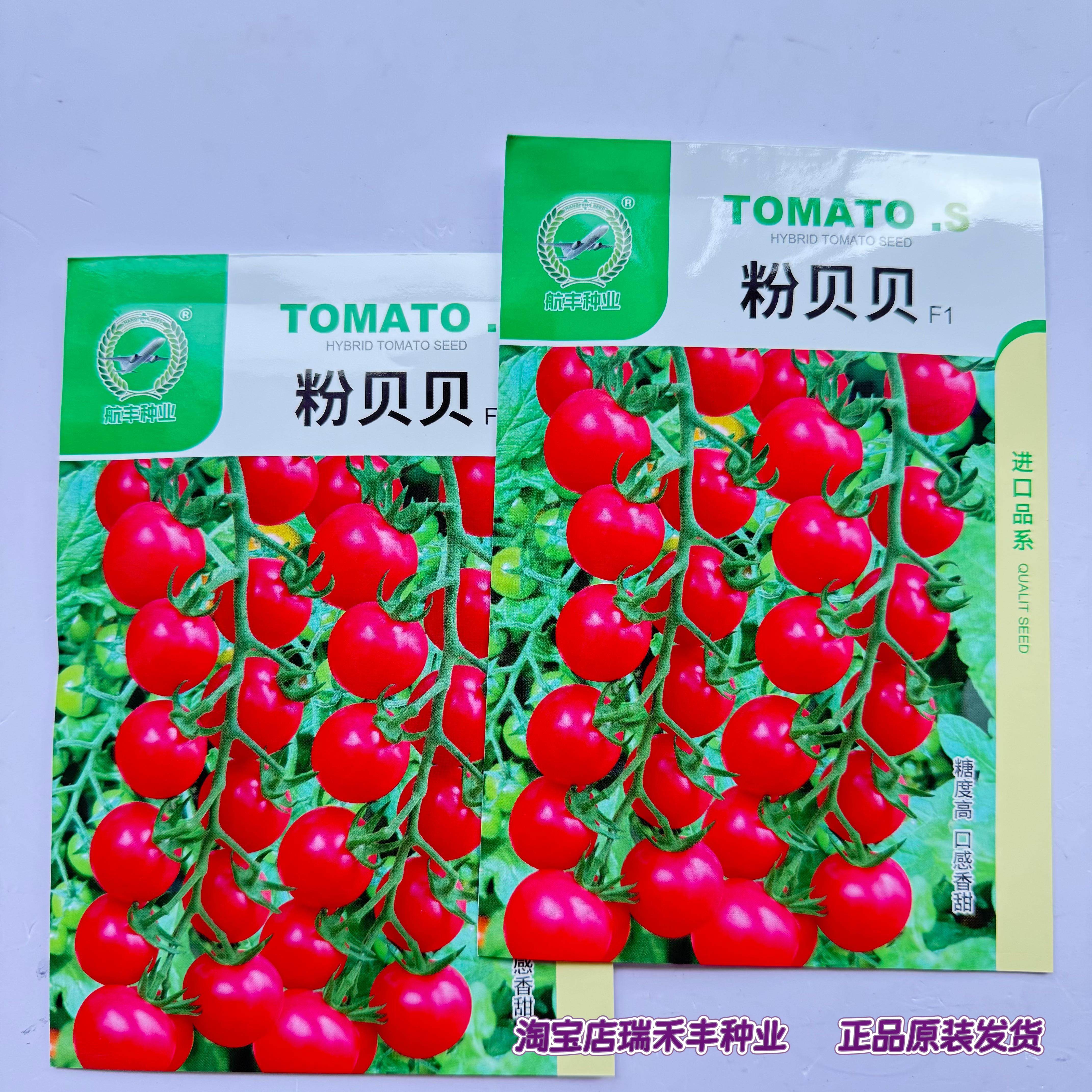 粉贝贝千禧小番茄种子超