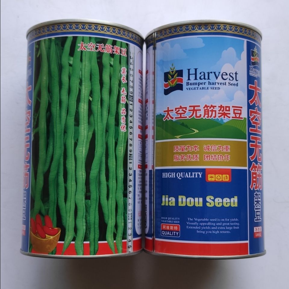 四季豆种子太空无筋架豆抗病抗热荚肉厚绿色圆长产量高四季豆种子
