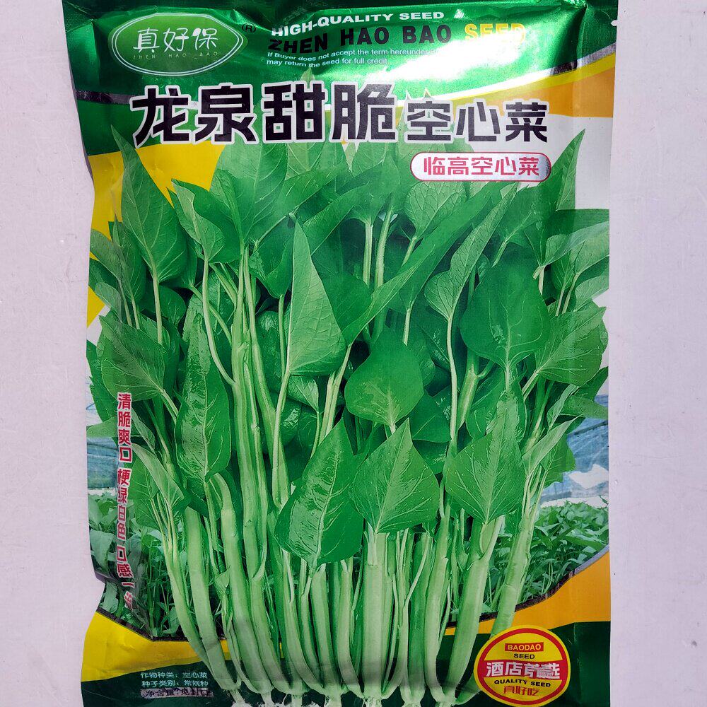 龙泉甜脆空心菜种子水地