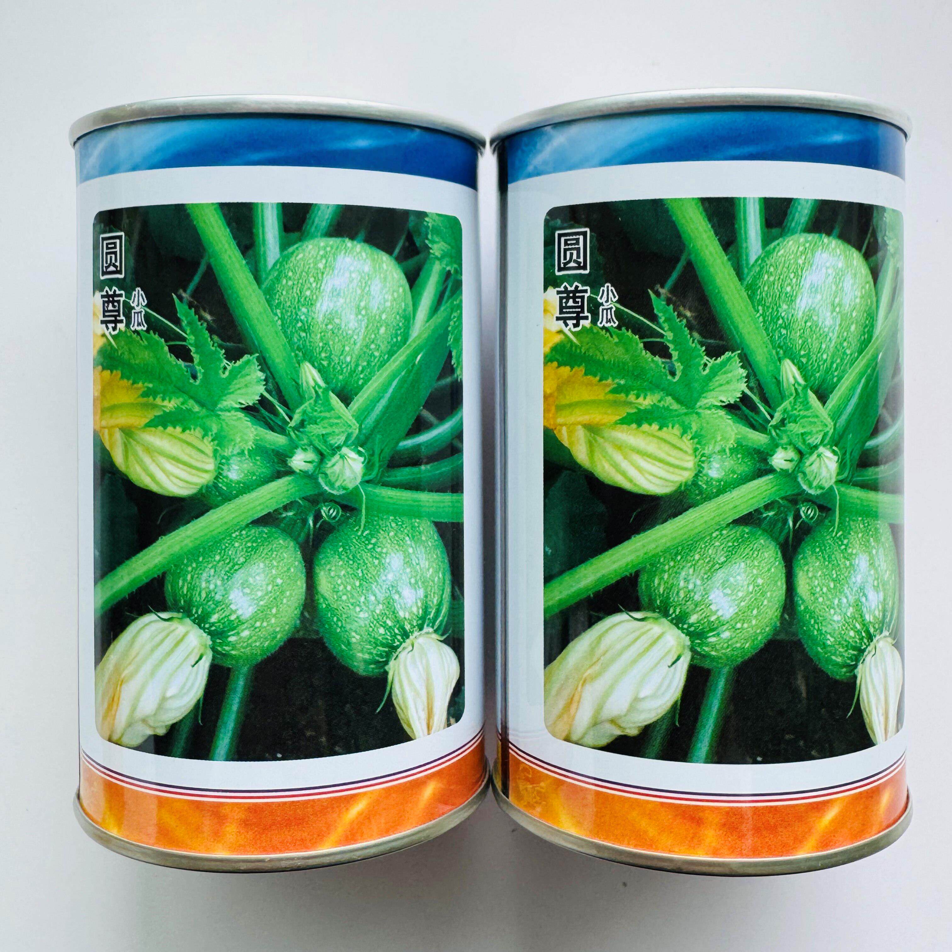 圆尊小瓜西葫芦种子早熟