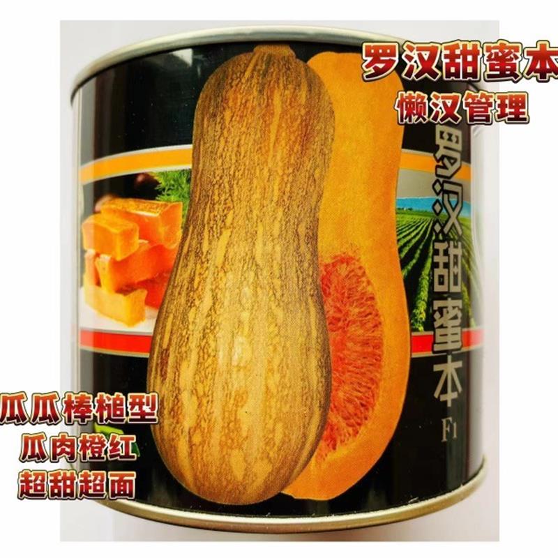 罗汉甜蜜本南瓜种子大果甜面肉厚高产蜜本南瓜倭瓜种子籽孑大田籽