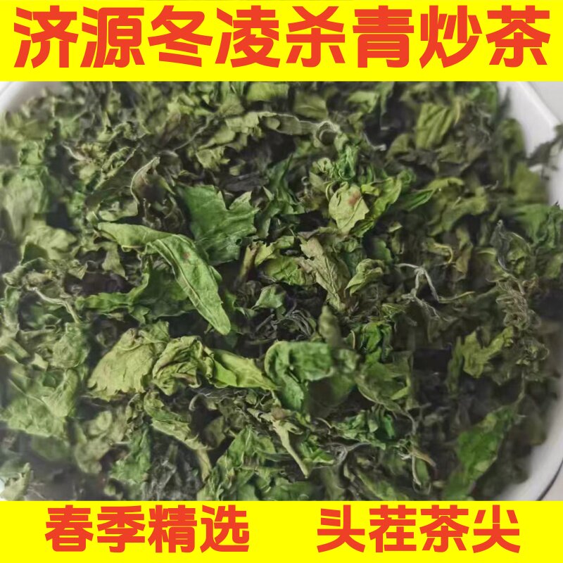 济源冬凌草春季头茬杀青茶