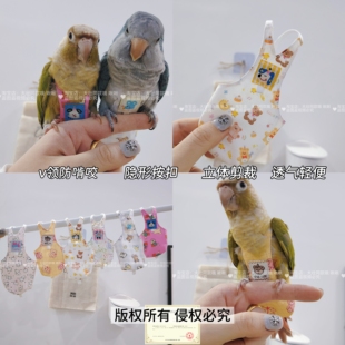 小鹦鹦鹉尿不湿v领隐形按扣鸟用玄凤牡丹小太阳虎皮屎尿便兜尿裤