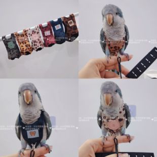 一片式豹纹款虎皮牡丹玄凤鹦鹉鸟衣服小背心衣服飞行背带放飞绳