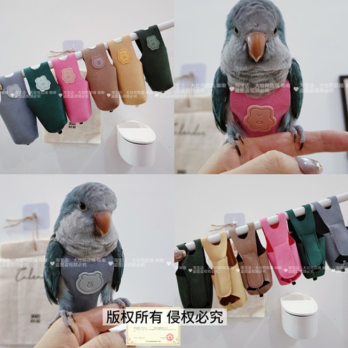 薄款一片式无肩带屎兜舒适款牡丹玄凤鹦鹉鸟衣服飞行服尿裤