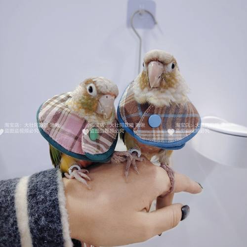新款玄凤鹦鹉伊丽莎白圈受伤保护项圈牡丹虎皮防啄毛防咬毛鸟用